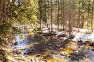 a stream in the woods with snow on the ground at Mountainside Top Floor Condo - Treetops Lionshead in Vail