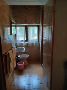 a bathroom with a sink and a toilet and a shower at LOCANDA Alla Paia in Pracul +15 photos