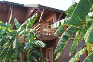 a wooden house with a bunch of banana trees in front of it at Guesthouse Vila Druri Dhermi in Dhërmi
