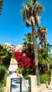 a palm tree next to a gate with red flowers at Casa de la Luz del Sol in Mojácar