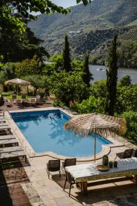 a swimming pool with a table and an umbrella at Quinta De São José in Ervedosa do Douro