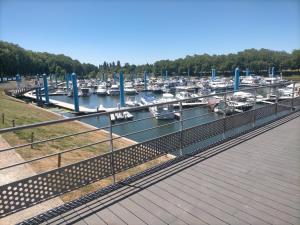 a marina filled with lots of boats in the water at Bateau SKAMP in Mâcon