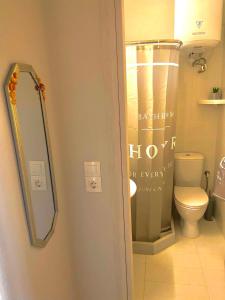 a bathroom with a toilet and a mirror at George's place in Plytra