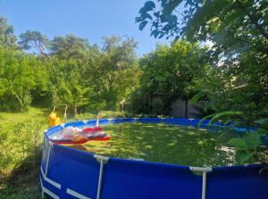 a large pool of water with a toy boat in it at Tentu Tentu, Babushtent in Ventspils +4 photos