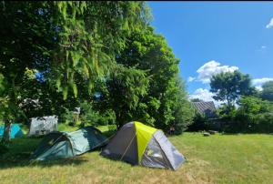 two tents in a field under a tree at Tentu Tentu, Babushtent in Ventspils