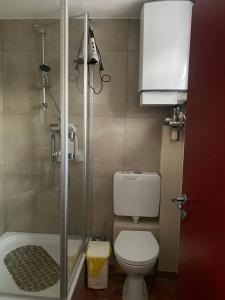 a small bathroom with a toilet and a shower at Wassermühle in Rheine +7 photos
