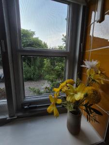 a vase of flowers sitting on a window sill at Morgenstond in Groesbeek