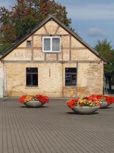 two large pots of flowers in front of a building at Oāze Aucē in Auce