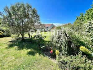 a garden with a tree and some plants at GC - Au Gré Du Vent in Wissant
