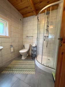 a bathroom with a shower and a toilet at Domki Lazur in Jastrzębia Góra