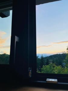 a window in a room with a view of trees at Joli Chalet in Râşnov