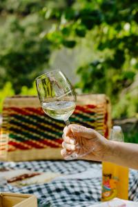 a person holding a wine glass at a table at Quinta De São José in Ervedosa do Douro