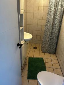 a bathroom with a sink and a toilet with a green rug at Small house in rural surroundings in Gelstrup