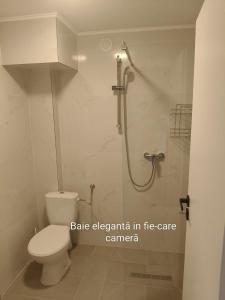 a bathroom with a shower with a toilet and a shower at Senera Minerals in Valea lui Mihai