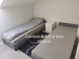 a small bedroom with a bed and a table at Senera Minerals in Valea lui Mihai