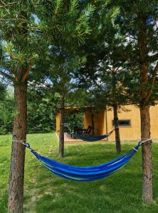 a blue hammock between two trees in a yard at Sarenka na Roztoczu in Nielisz