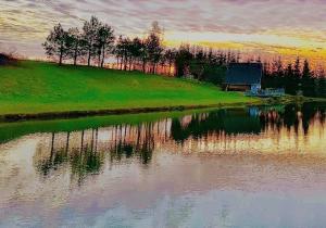 a large body of water with a house and trees at GLaMPLIFE,tünni ja suitsusaunaga in Kasaritsa