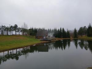 a cabin next to a large lake with trees at GLaMPLIFE,tünni ja suitsusaunaga in Kasaritsa