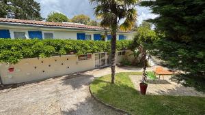a house with a fence and a palm tree at La Brise de Mer in Saint-Michel-Chef-Chef