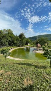 a large green pond in a field with trees at Malajac in Bigrenica