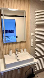 a bathroom with a white sink and a mirror at Longinus Quartier in Havixbeck