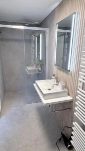 a bathroom with a sink and a shower at Longinus Quartier in Havixbeck