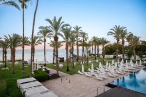 a row of white chairs and palm trees next to a pool at U Boutique Kinneret by the Sea of Galilee in Tiberias