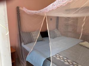 a bed with a canopy in a room at Palm Garden Guest House in Gulu