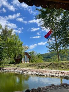 a kite flying in the sky over a river at Malajac in Bigrenica