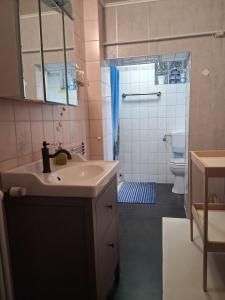 a bathroom with a sink and a shower and a toilet at Ferienwohnung Friedel und Käthe in Oberthal +12 photos