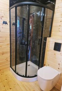a bathroom with a shower with a toilet in it at Sarenka na Roztoczu in Nielisz