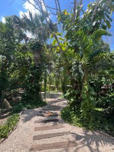 a path with palm trees and plants on it at Casa Sayab Hotel Boutique in Maní +3 photos