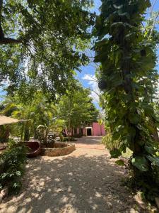 a garden with a tree and a house in the background at Casa Sayab Hotel Boutique in Maní