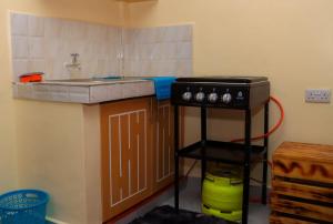 a toy kitchen with a sink and a stove at Magik Haven Studios Nyeri in Nyeri
