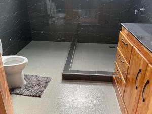 a bathroom with a shower and a toilet in it at Buye Holiday House in Mwanza +3 photos