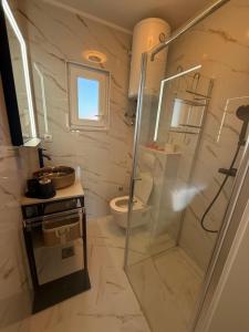 a bathroom with a shower and a toilet at Apartman Pijuk in Slatine +32 photos