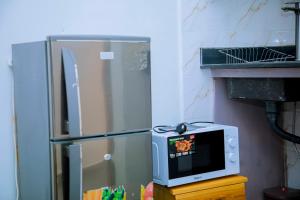 a kitchen with a refrigerator and a microwave at ExtraMile Apartments - Cozy Studio in Dodoma
