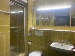 a bathroom with a toilet and a sink and a shower at Alex in Balderschwang