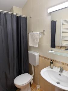 a bathroom with a toilet and a sink at Hotel Turist Beharca in Beharca +34 photos