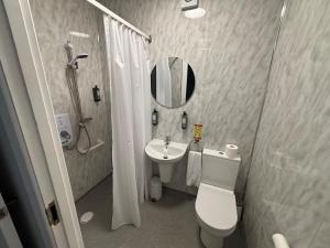 a bathroom with a toilet and a sink and a mirror at Castleroddy House - spacious country house - king beds - extensive parking in Lislap +16 photos
