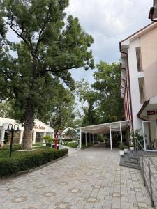 a wedding venue with a tree and a tent at Hotel Turist Beharca in Beharca