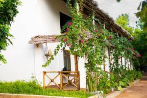 a house with flowers growing on the side of it at Ecokayak Beach Lodge in Zanzibar City