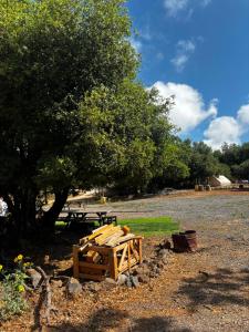 a wooden bench sitting next to a tree and a picnic table at קרוואן עם חיוך in Odem