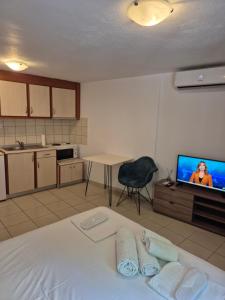 a room with a bed and a tv and a kitchen at Blue studio in Kavála