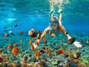 a man swimming in the ocean with fish at Ecokayak Beach Lodge in Zanzibar City +4 photos