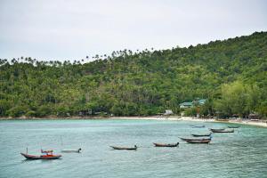 a group of boats in the water near a beach at Cookies Salad Resort in Salad Beach