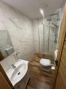 a bathroom with a sink and a shower and a toilet at Tejmalom Szálló in Sárrétudvari