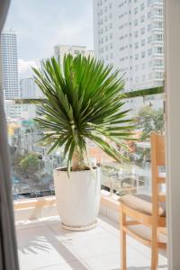 a potted plant sitting on a window sill at Nha Trang Center Point in Nha Trang