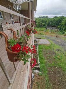 a wooden bench with red flowers on a porch at Фазенда Оганеса in Ureki