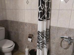 ZárakesにあるMike Houseのトイレとシャワーカーテンのある浴室 +7枚の写真